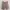 Casual Minimalist Short Wanita tan photo 2