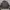 vintage camo jacket  photo 2