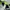 Topi Luxury Cap Hugo Boss Waffle Logo Cap Adjustable OSFA Se photo 9