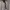 Gramicci loose balloon pants  photo 5