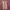 Gramicci loose balloon pants  photo 2
