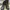 Converse Chuck Taylor All Star Hi Leather Black Japan Market photo 1