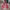 Puma Casual Loafer Pria red photo 5