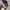 Saucony Ride 15 Running Shoes  photo 7