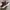 Saucony Ride 15 Running Shoes  photo 10