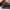 Nike Air Jordan Low Gym Red/Black-White photo 2