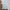 Polo Shirt Lacoste Big Logo Tipped photo 1