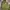 Royal Navy Smock Parka Military photo 5