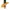 LA Pro Color Foundation Mixing Yellow Pigment photo 1