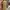 LA Pro Color Foundation Mixing Yellow Pigment photo 5