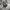 Herschel Streetwear Hat Pria multicolor photo 1