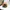 Quiksilver Streetwear Hat Pria multicolor photo 7