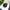 Quiksilver Streetwear Hat Pria multicolor photo 6
