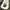 Quiksilver Streetwear Hat Pria multicolor photo 4