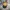 Quiksilver Streetwear Hat Pria multicolor photo 1