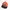 Quiksilver Streetwear Hat Pria multicolor photo 1