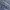 Harley Davidson Jeans photo 7
