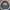 Jaket Sweater Crewneck NBA Basic Big Logo photo 1