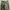 Army Shade 107 Sateen Trousers photo 2