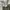 Army Shade 107 Sateen Trousers photo 4