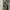 Army Shade 107 Sateen Trousers photo 5