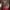 Longchamp Minimalist Casual Backpack Wanita red photo 5