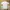 Yves Saint Lurent Polo Shirt photo 1