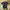 Taylormade Golf Polo Shirt photo 1