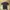Taylormade Golf Polo Shirt