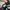 Vans Old Skool Overt Plus Comfycush photo 5