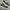 Vans Old Skool Overt Plus Comfycush photo 1