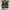 RARE Adidas x SFTM Country OG Active Tear Core Black Ash photo 8