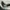 RARE Adidas x SFTM Country OG Active Tear Core Black Ash photo 10