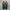 RARE Adidas x SFTM Country OG Active Tear Core Black Ash photo 5