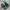 RARE Adidas x SFTM Country OG Active Tear Core Black Ash photo 1