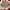 ENJI Shoulderbag Slingbag Maroon photo 3