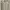 Cardigan Knit Basic Oat photo 1
