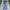 Vintage Camel Blue Jeans Straight Fit photo 4