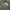 Relaxed Linen Shirt Army by Common Days photo 2
