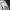 Fairy Futurist Bodycon dress Wanita white black photo 4