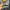 Dickies hoodie grey yellow photo 3