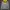 Dickies hoodie grey yellow photo 1