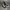 CONVERSE ALL STAR  photo 2