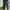 Yeona - Pants premium  photo 1