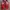Casual Loafer Pria red photo 3