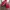 Casual Loafer Pria red photo 1