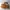 Timberland Boots Chukka photo 1