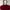 Bag Maroon
