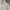 Thug Club Ripped Hoodie Korea Oversize Streetwear photo 9