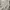 Thug Club Ripped Hoodie Korea Oversize Streetwear photo 8